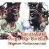 Stephen Nachmanovitch - Saraswati Steps Up to Bat