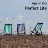 Age Of Jets - Perfect Life - Single